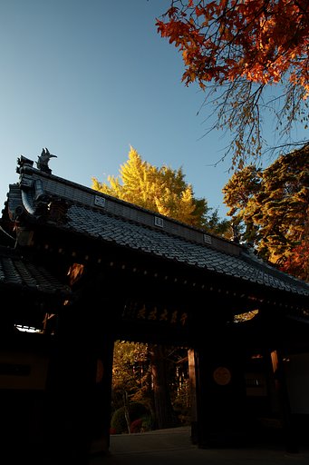 牛伏寺山門