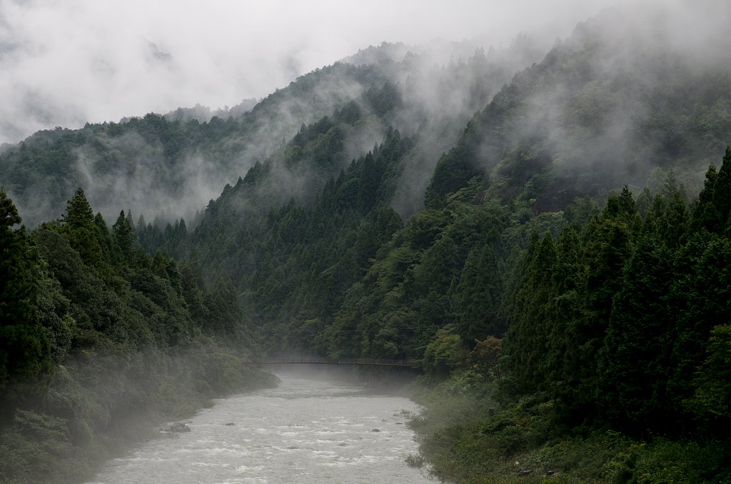 山水画の様に・・