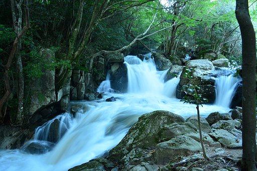 数十年に一度の　『尼の滝』