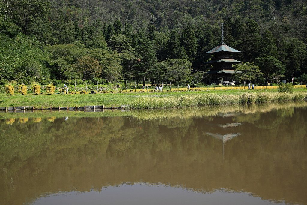 安久津八幡神社＠秋
