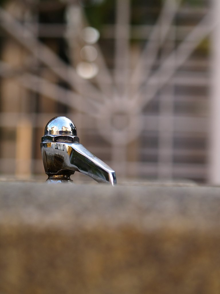 ZUIKO DIGITAL 35mm F3.5 Macroボケ味をみる(F3.5)