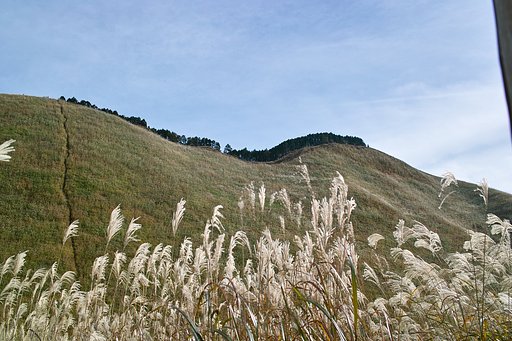 秋晴れとススキのお山