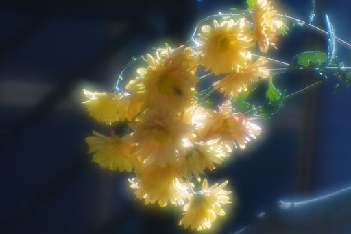 菊、自然交配です