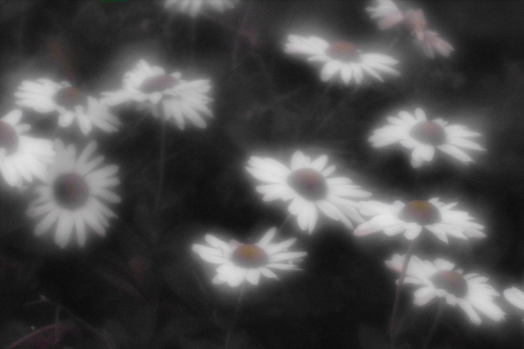寒さなんぞ