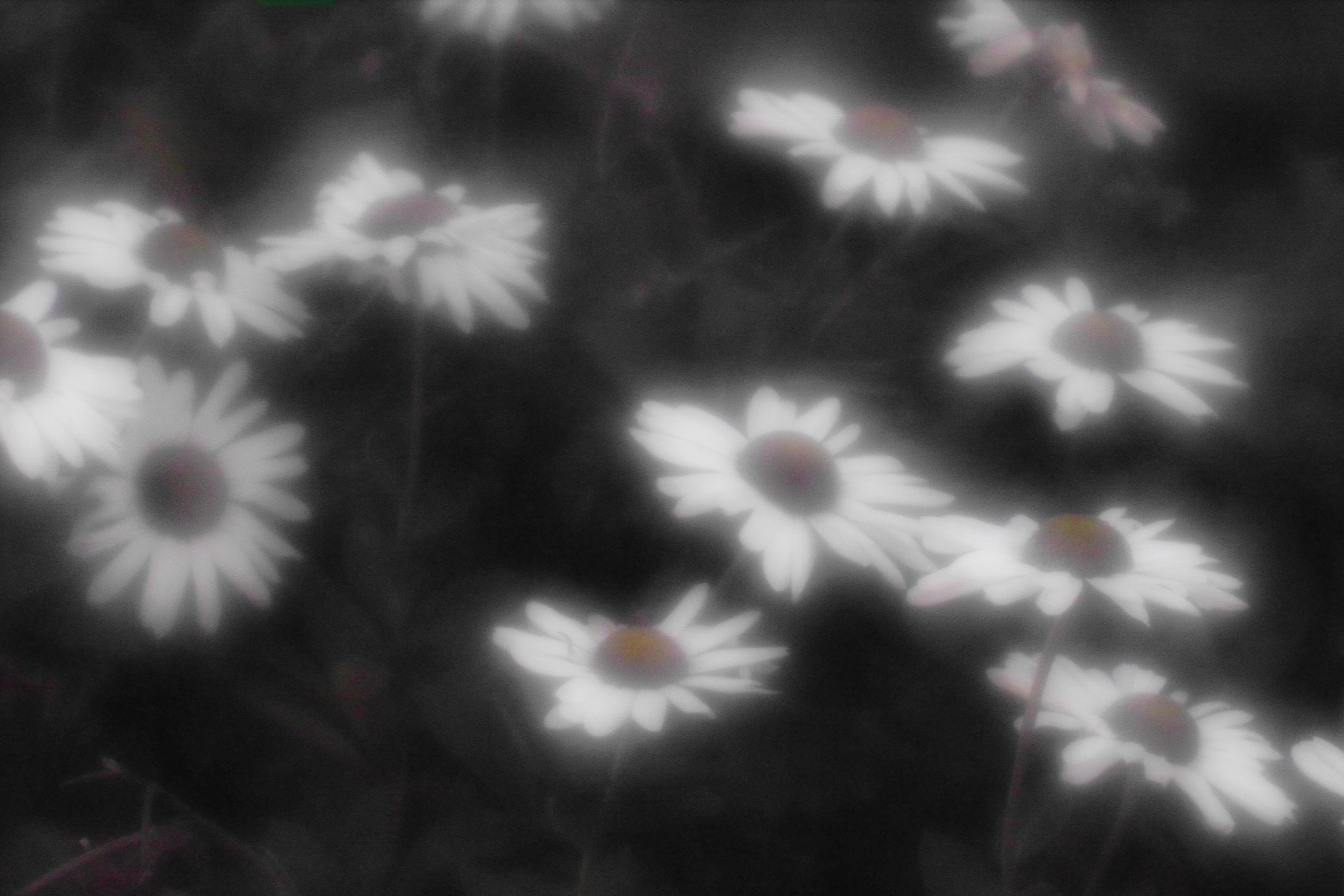 寒さなんぞ