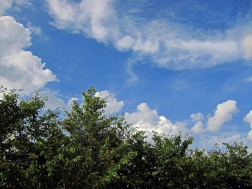 夏空その2