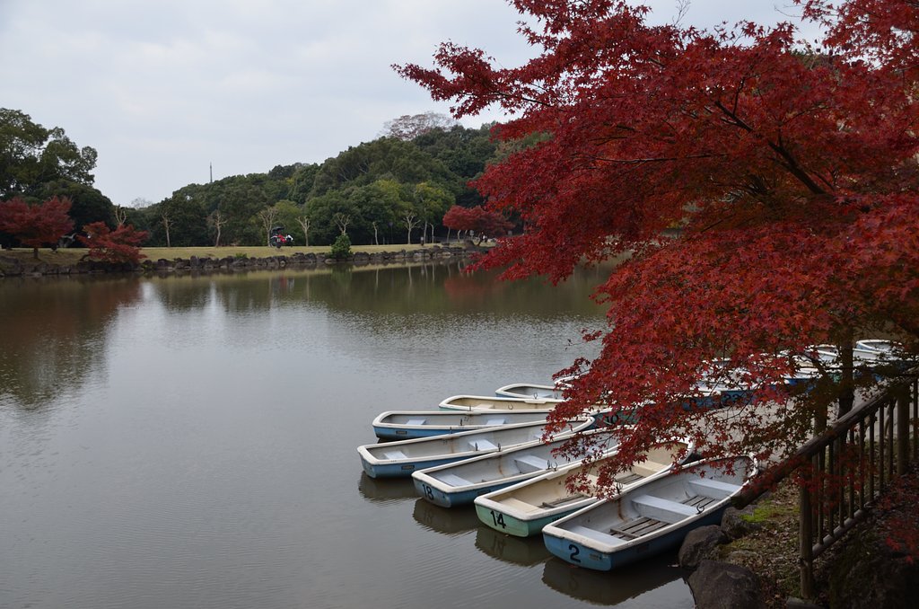 紅葉