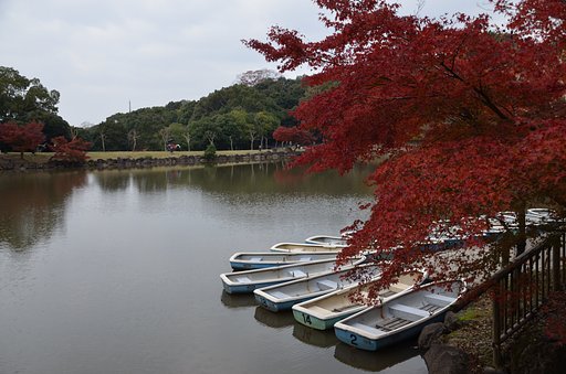 紅葉
