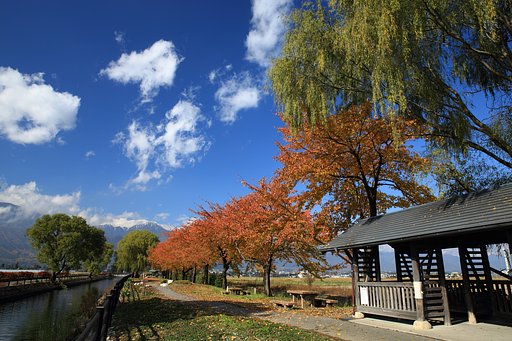 紅葉並木と青空