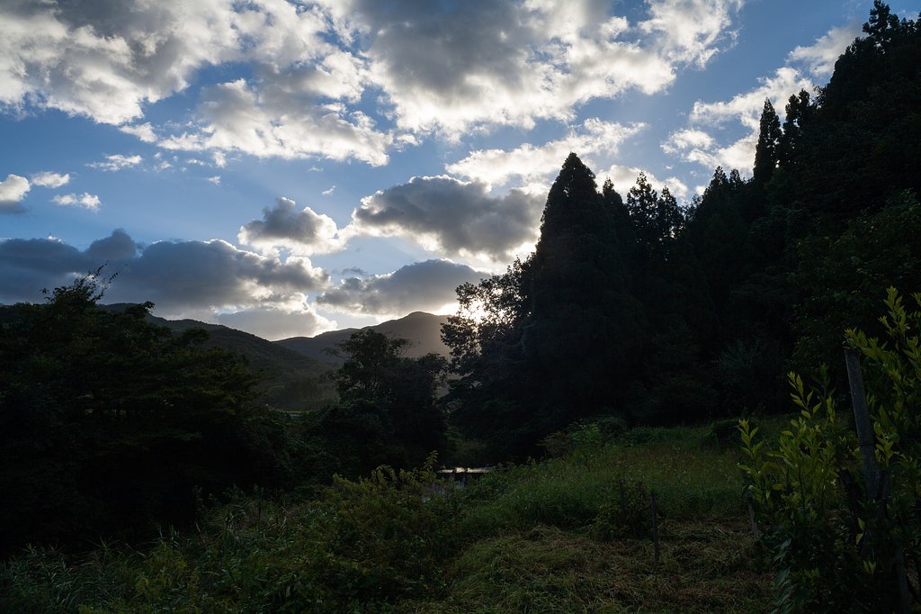 濃い青空の朝・・。