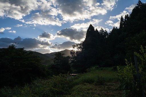 濃い青空の朝・・。