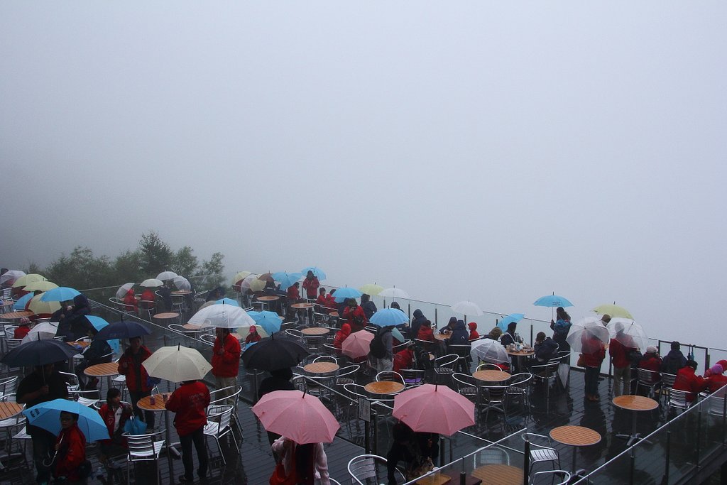 (試される大地)　雲海テラス