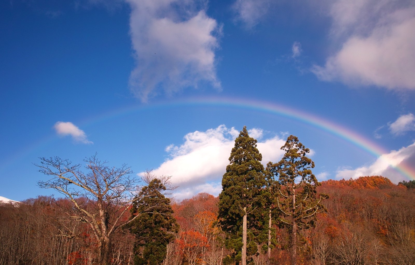 虹と紅葉