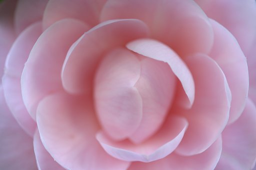 素直のままに