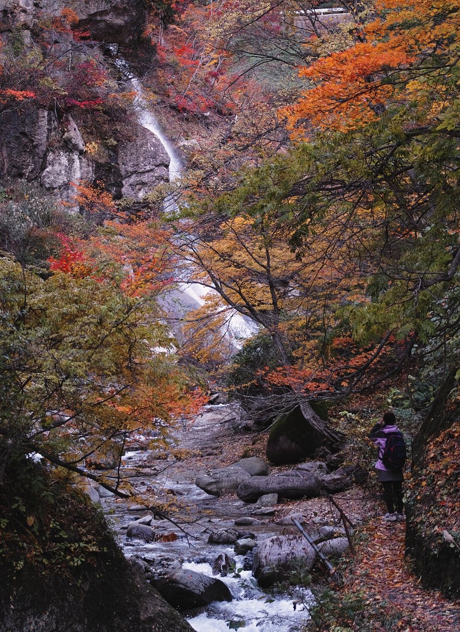 秋の紅葉川