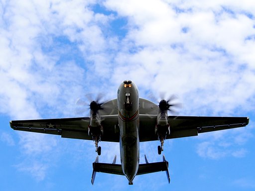 [夏の日]　飛行機