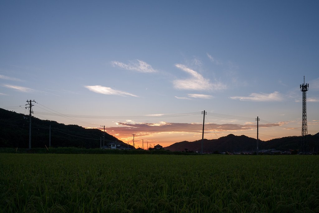 少しだけ夕焼けに・・。