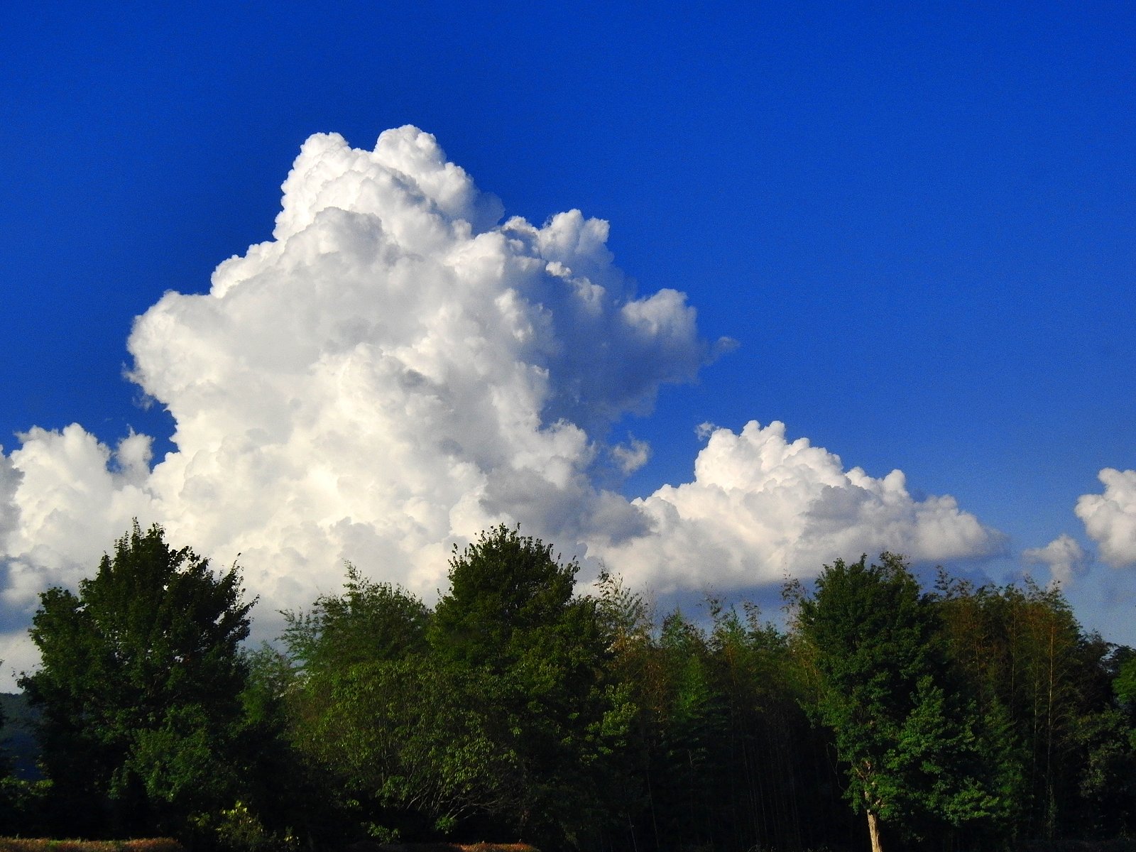 入道雲