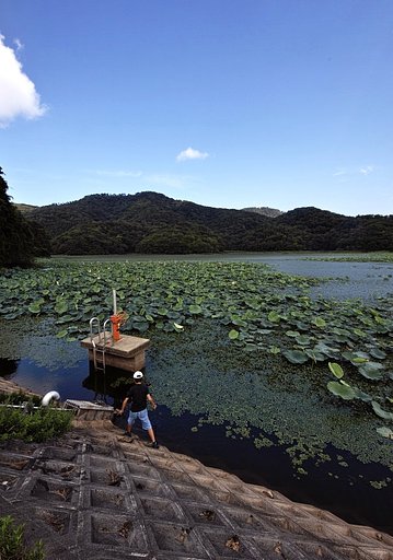 庄内　大山池の夏