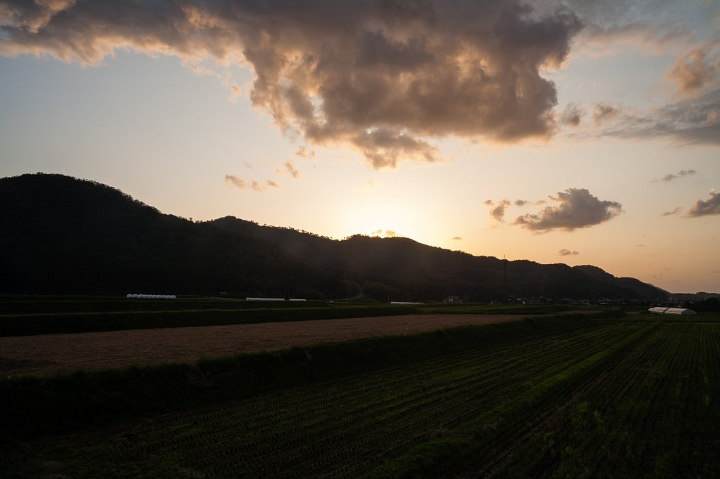 美しい夕焼けに・・。