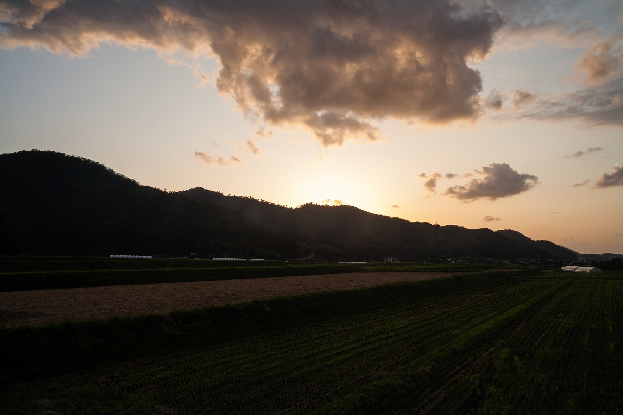 美しい夕焼けに・・。