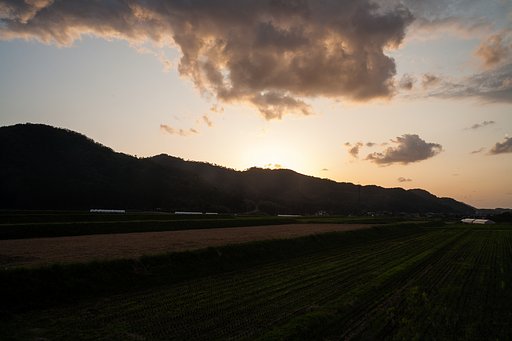 美しい夕焼けに・・。