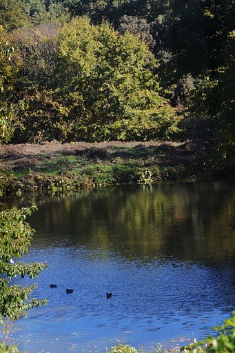 砧公園秋深く・・・