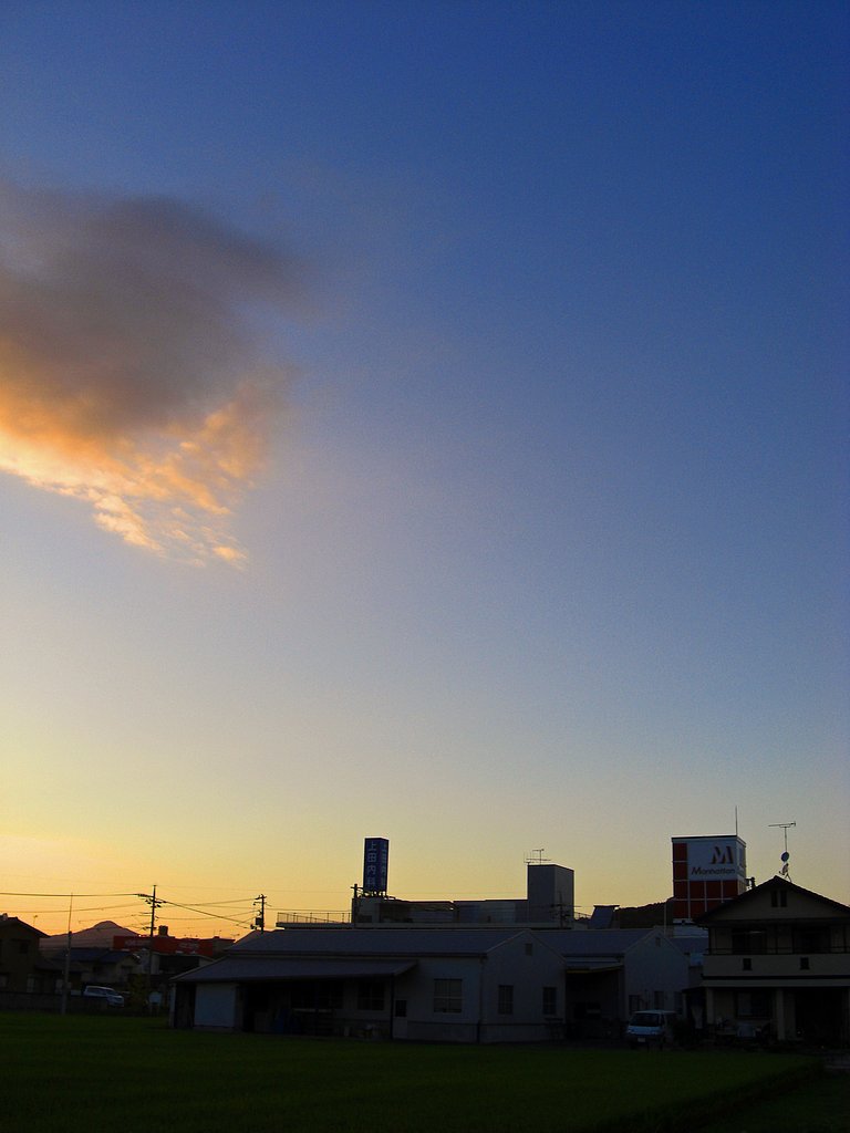 秋めく