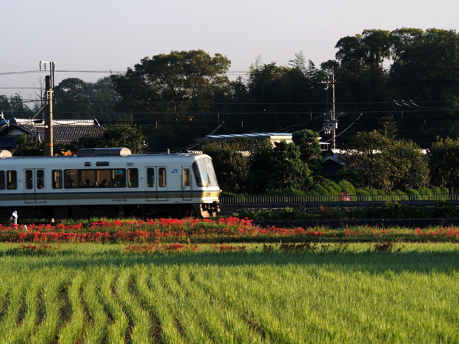 通勤電車