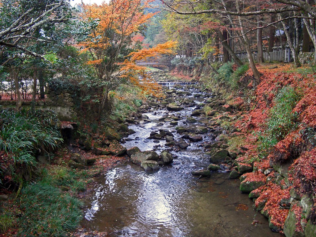 沢と紅葉