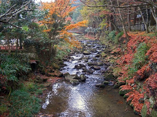 沢と紅葉