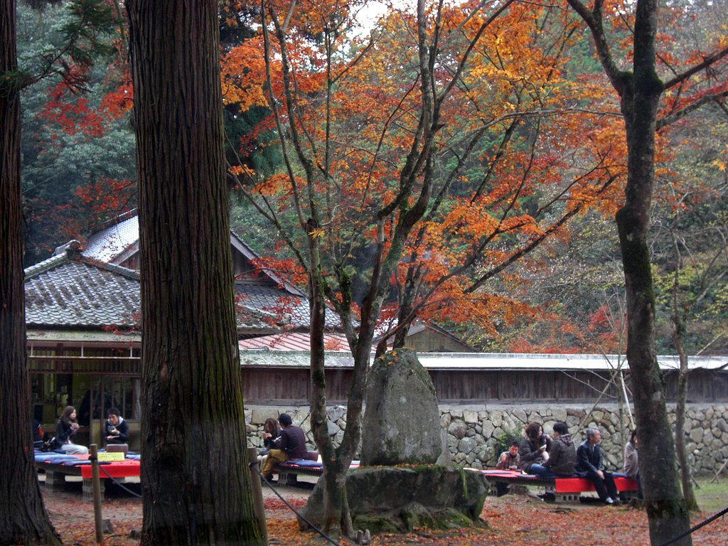 紅葉とお茶