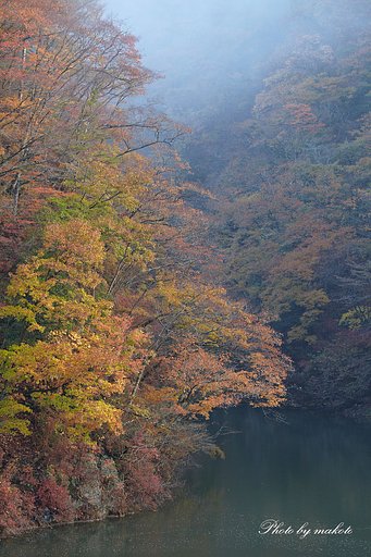 霧の朝