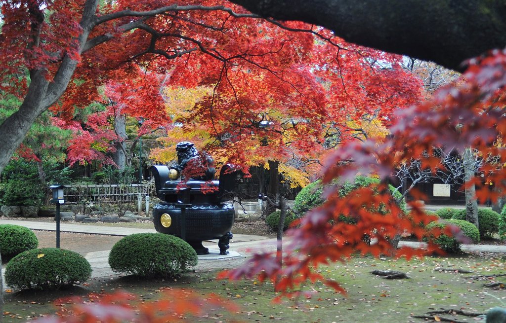 豪徳寺にて・・・