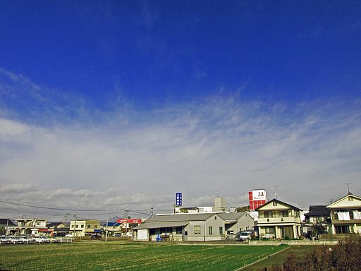冷えた定点