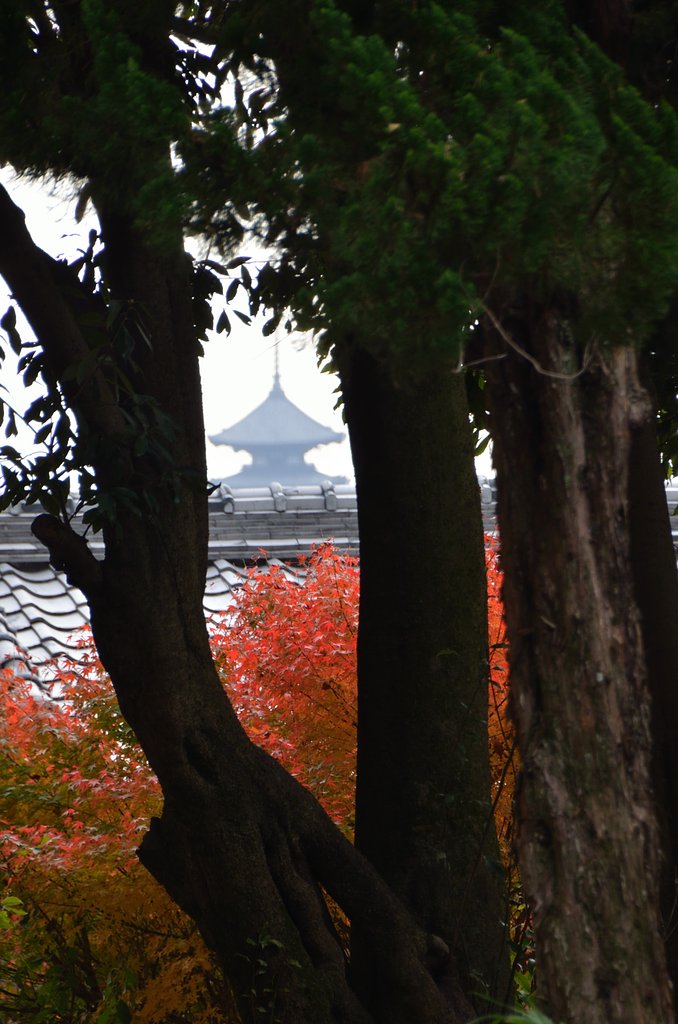 紅葉