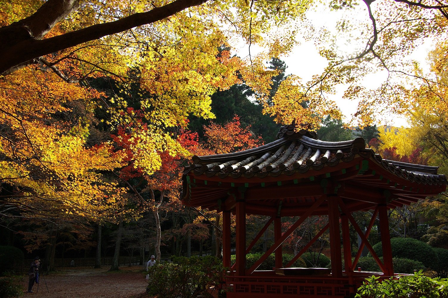 紅葉谷公園