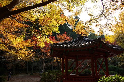 紅葉谷公園