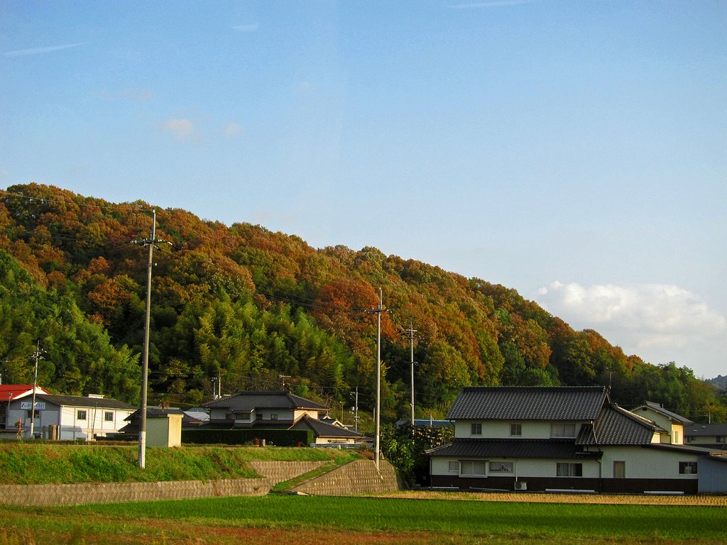 秋色の里山