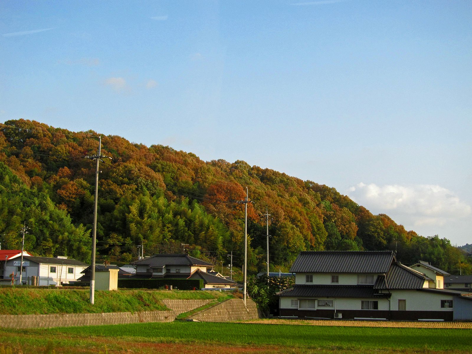 秋色の里山