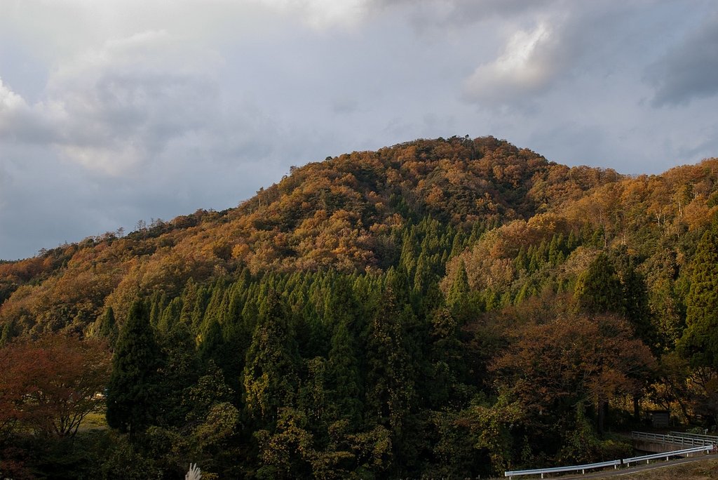 村の奥の紅葉-5。