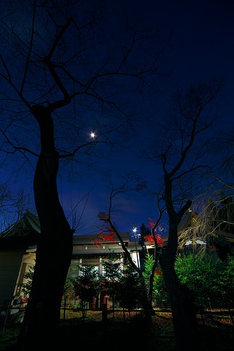 月夜に輝く神社　撮影騒動