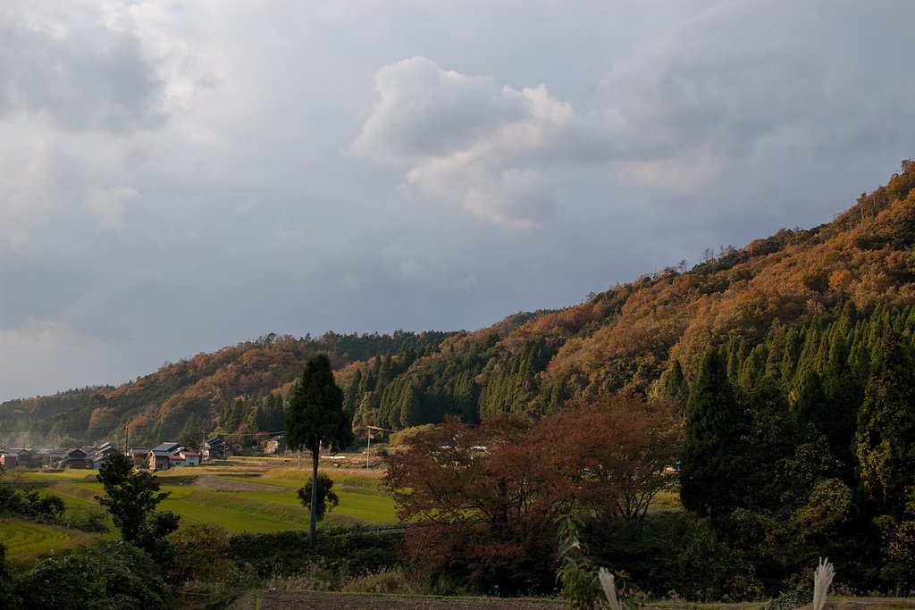 村の奥の紅葉-6。