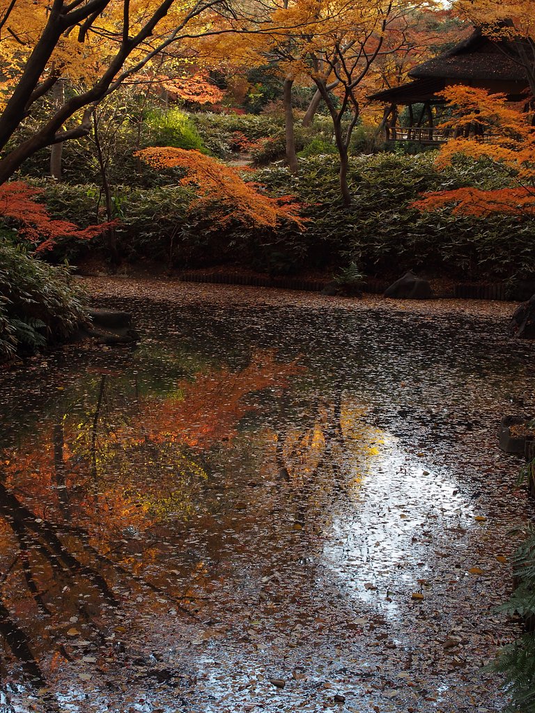六義園終秋
