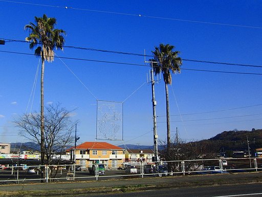 イルミネーション？