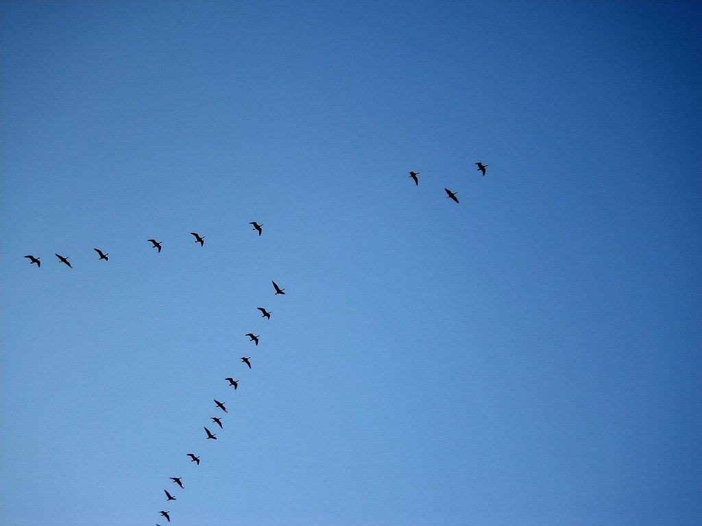 お空を見上げれば＃１