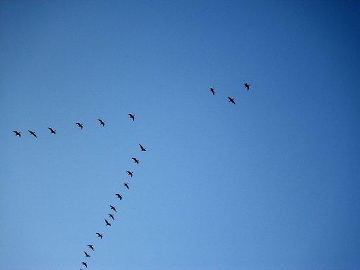 お空を見上げれば＃１