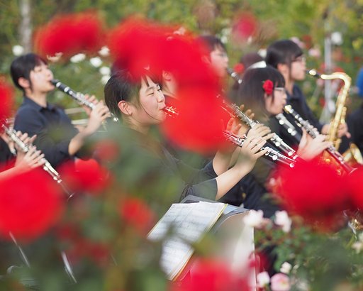 【風を感じて】秋風のメロディー