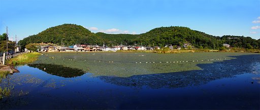 京都市　深泥池（みぞろがいけ）