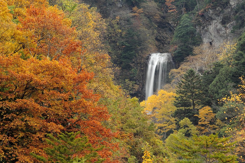 平湯大滝、秋